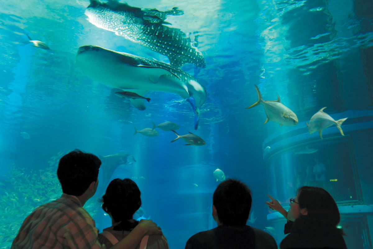 Osaka Aquarium Kaiyukan　　©Osaka Convention & Tourism Bureau